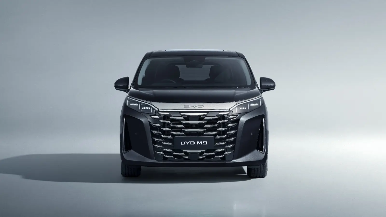 BYD M9 Image 12